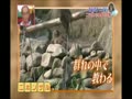 DAIGO いずもニッポンふれあいの旅 ビビリな性格直したい！（前篇）